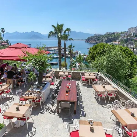 Vibrant Located In Historical Area Surrounded By Nature